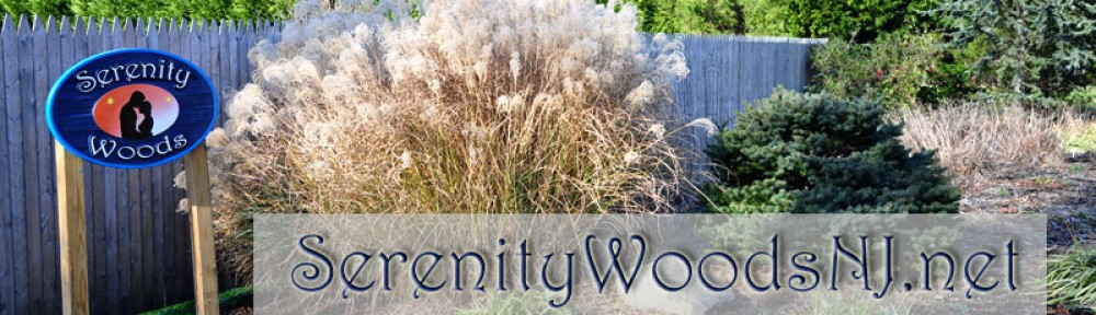 Serenity Woods